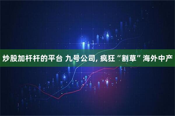 炒股加杆杆的平台 九号公司, 疯狂“割草”海外中产