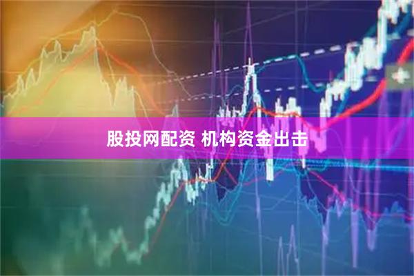 股投网配资 机构资金出击